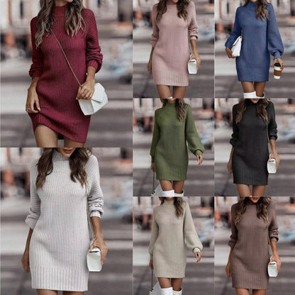 Cozy ribbed knit turtleneck mini sweater dress 3101