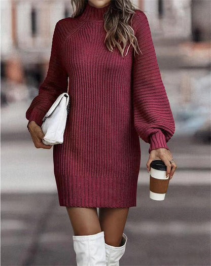 Cozy ribbed knit turtleneck mini sweater dress 3101